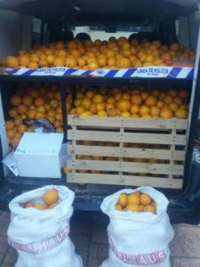 naranjas robadas Torrent