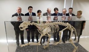 museo de historia natural de Burjassot