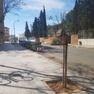 Aldaia árboles
