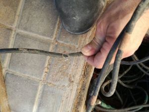 Un problema de roedores obliga a Godella a reforzar los cables de la luz para evitar más apagones