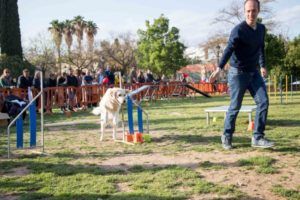 Famas Fest llegará a Paterna