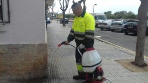 limpieza orines Alfafar