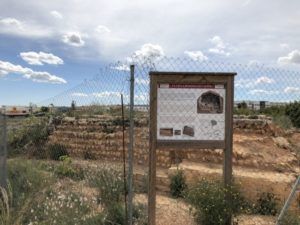 yacimiento alter Torrent