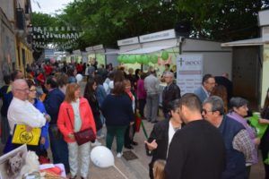 FAC Benetússer 2018