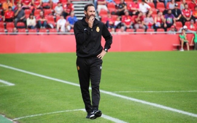 Vicente Moreno entrenador del RCD Mallorca