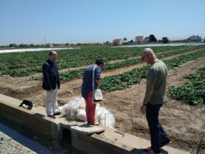 residuos plásticos meliana