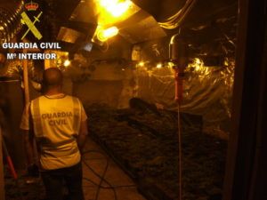 Desmantelada una organización dedicada al cultivo y tráfico de marihuana en Catarroja, Massanassa, Beniparrell y Silla