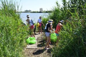limpieza Albufera