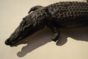 El Drac del Patriarca