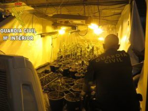La Guardia Civil desmantela un cultivo de 95 plantas de marihuana ocultas en un chalet del término municipal de Torrent