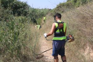 Torrent contrata a 24 nuevos trabajadores para la limpieza y conservación de su patrimonio forestal