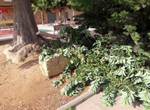 Albal Parque la florida