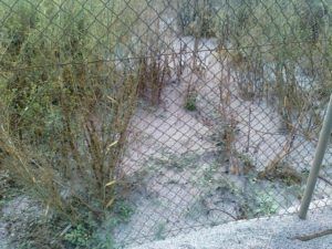 empresa el puig policía