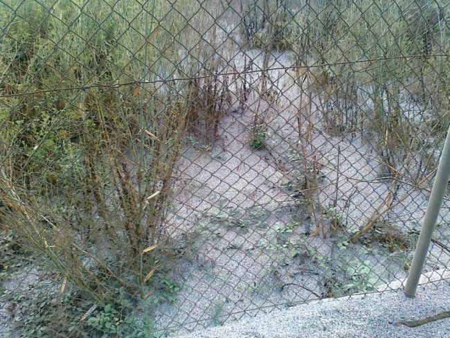 empresa el puig policía