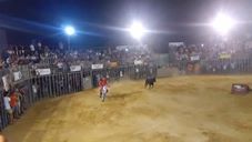 PACMA anuncia que denunciará ante la Generalitat la moto torera del Barrio del Cristo