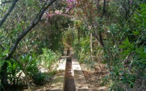 burjassot hort d'almenar