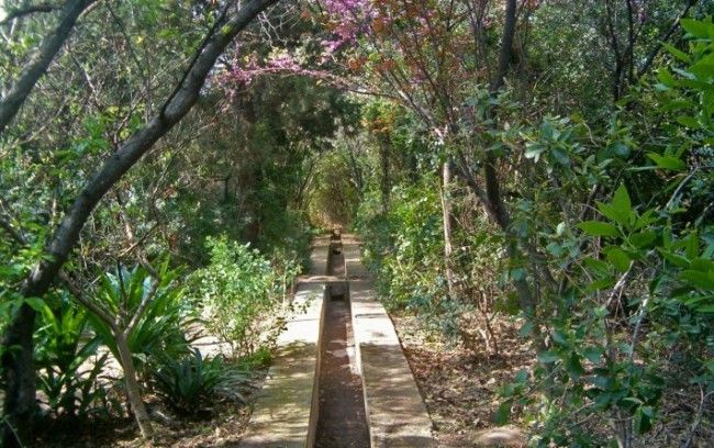 burjassot hort d'almenar