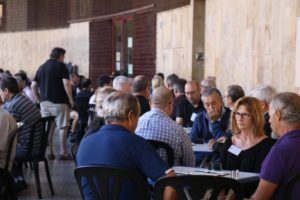 campeonato domino Torrent