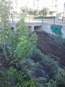 godella barranc frares limpieza