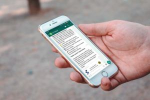 whatsapp ayuntamiento de Torrent