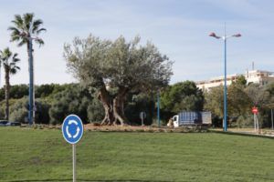 Nueva Plaza de la paz de Torrent
