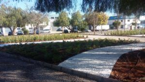zona ajardinada poligono Mas del Jutge de Torrent