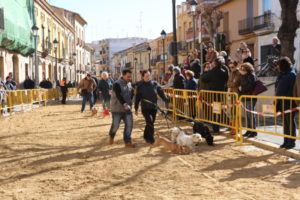 Godella censo animales