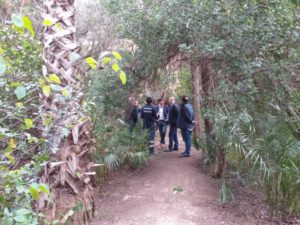 burjassot hort de l'almenar