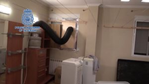 Desarticulada una banda dedicada al cultivo de marihuana que almacenaba la droga en 2 almacenes de Quart