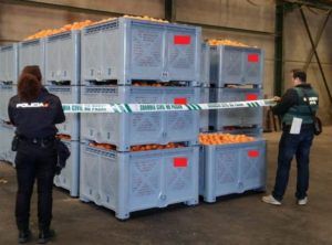 Policia Generalitat naranjas