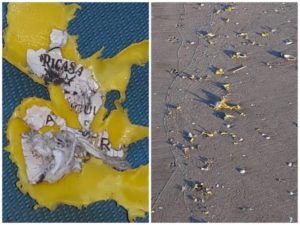 microplásticos alboraya