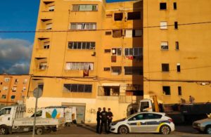 paterna finca amarilla