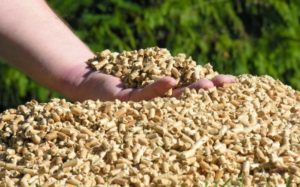Pellets Biomasa