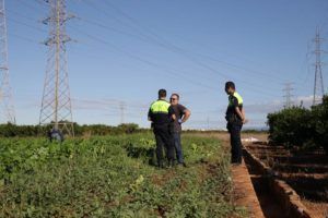 torrent patrulla rural