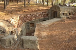 Demanen a Cultura i Patrimoni que declare Bé d'Interés Cultural (BIC) tota la línia Immediata.