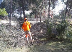 Paterna solar Bovalar