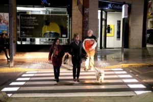 Torrent pasos peatones inteligentes