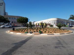 Torrent poligono rotonda