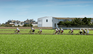 alboraya huerta bicicletas