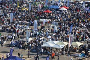 paellas universitarias