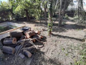 Hort d'Almenar Burjassot