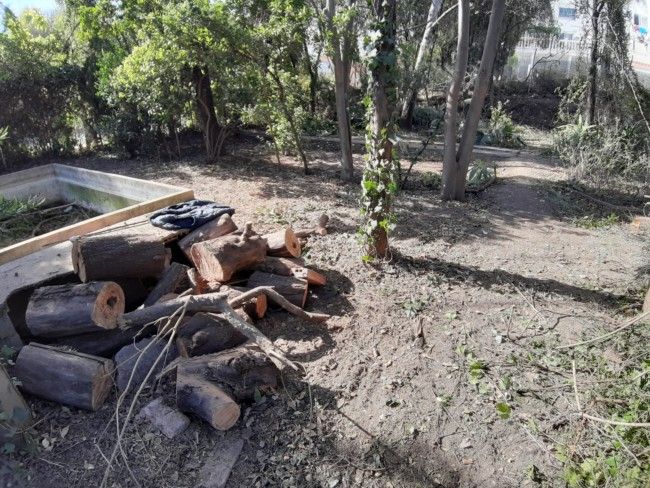 Hort d'Almenar Burjassot