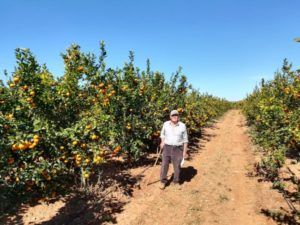 Evaristo Pérez Pellicer Llaurador Torrent 2019