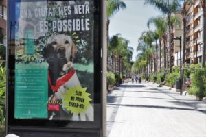 Torrent campaña micciones perros
