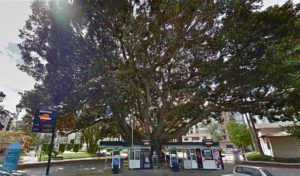 gasolinera parterre