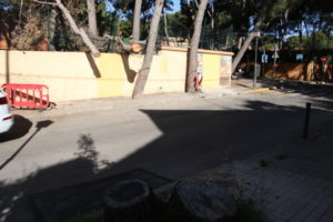Godella arboles caidos colegio