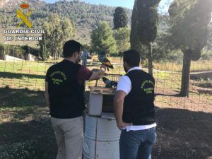 Guardia Civil palomos deportivos robo