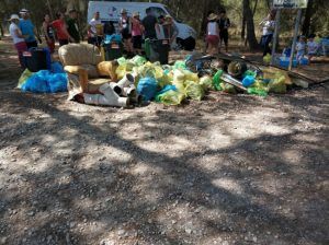 Limpieza Bosque de La Vallesa 18-8-2019