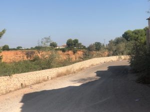 Torrent atajo Xenillet