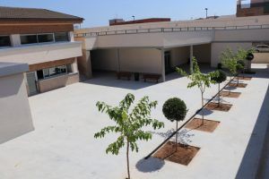 Torrent colegio educacion especial la encarnacion